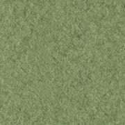 Green Felt
