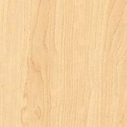 Kensington Maple