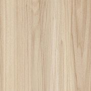 American Elm