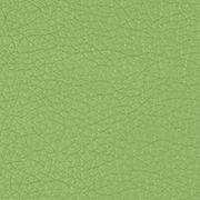 Custom: Apple Green