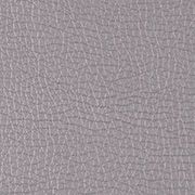 Steel