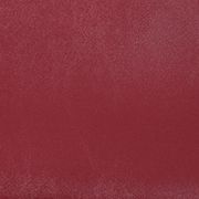 Raspberry