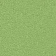 Custom: Apple Green