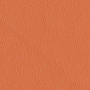 Custom: Clementine