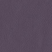 Custom: Grape