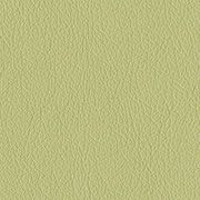 Custom: Honeydew