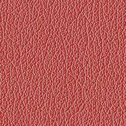 Custom: Red