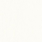 Custom: White