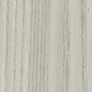 Gray Elm