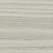 Gray Elm