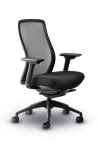 Eurotech Vera Mesh Back Ergonomic Chair