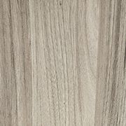 Shadow Elm