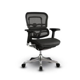 Ergohuman plus online chair