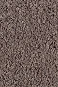 Karastan Lavish Affair - Truffle Carpet