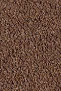 Karastan Lavish Affair - Tundra Carpet
