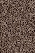 Karastan Lavish Affair - Brindle Carpet