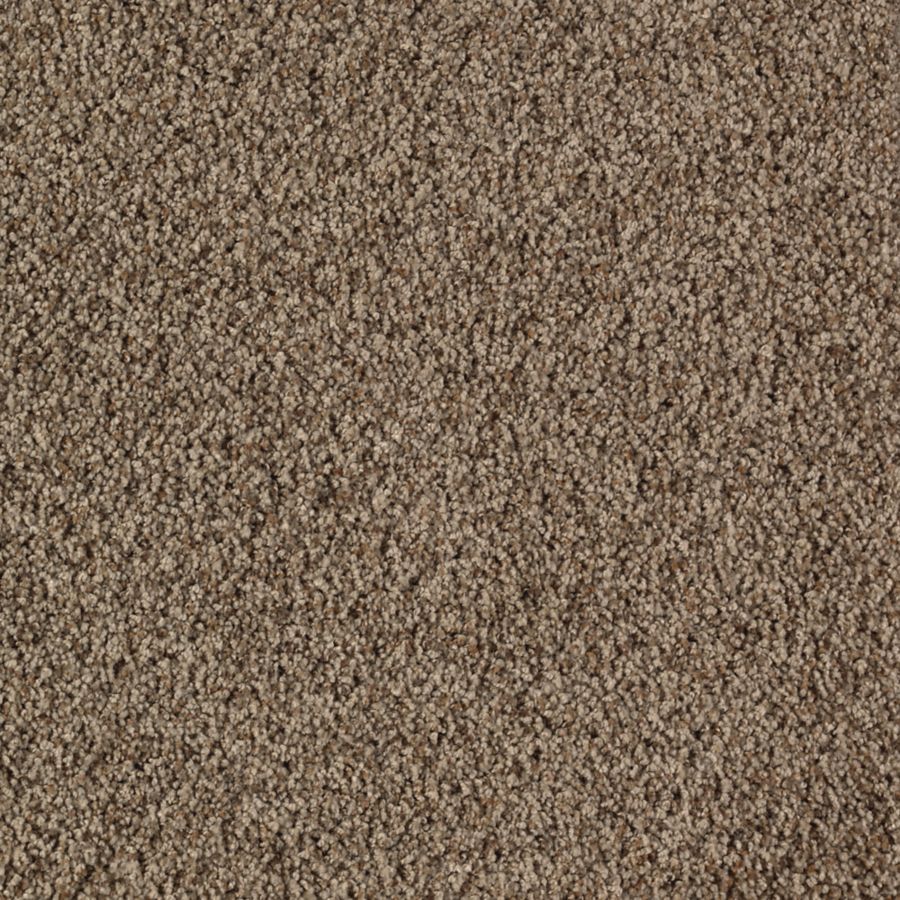 Mohawk Industries Classic Brilliance Heaven Sent Carpet Raleigh
