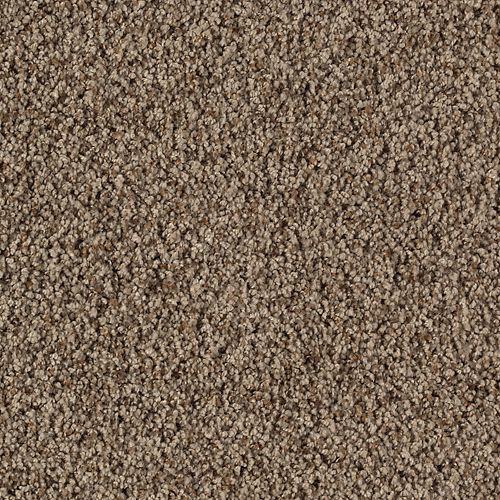 Mohawk Industries Classic Brilliance Heaven Sent Carpet Raleigh