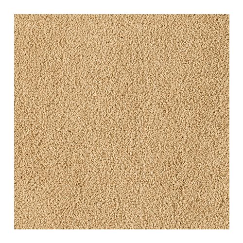 Wheat Field