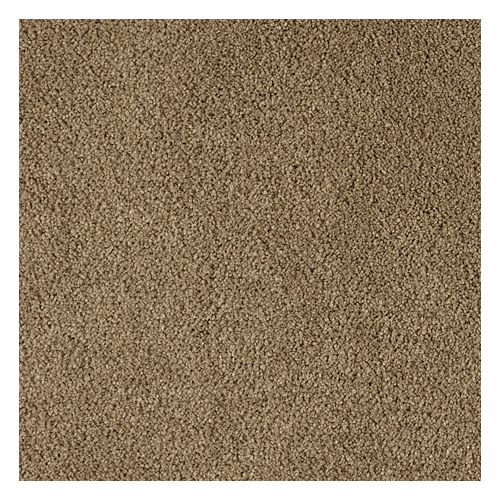 Autumn Brown