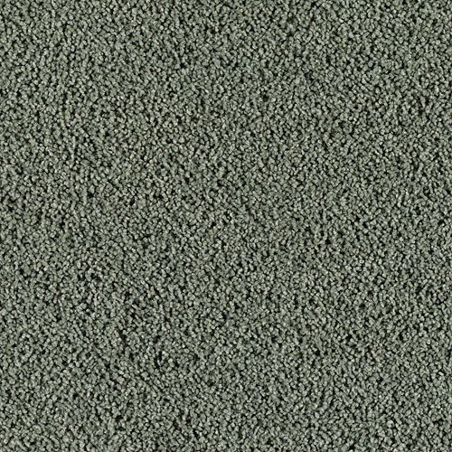 Mohawk Industries Unconventional Chic Secret Garden Carpet