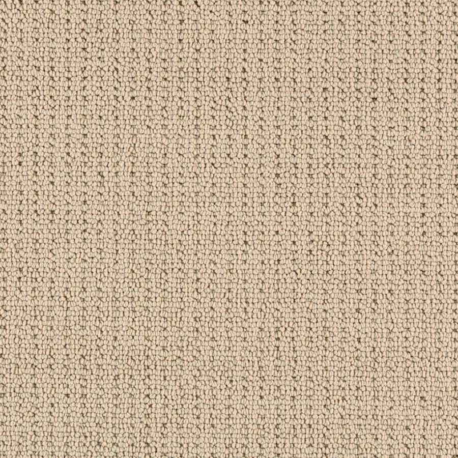 Mohawk Industries Avalon Park Nature S Touch Carpet Howell Nj