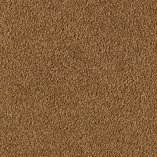 Mohawk Industries Beautiful Destiny Barn Swallow Carpet Layton