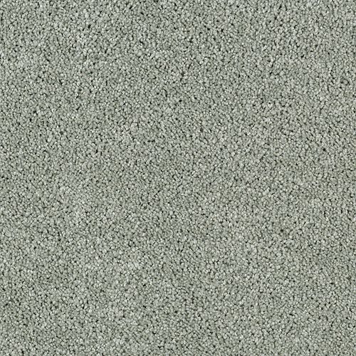 Mohawk Industries Delightful Charm Jade Carpet Everett