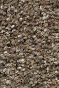 Karastan Rustic Appeal - Dovetail Carpet
