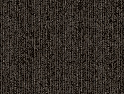 Arc Order in Havannah - Carpet by Mohawk Flooring