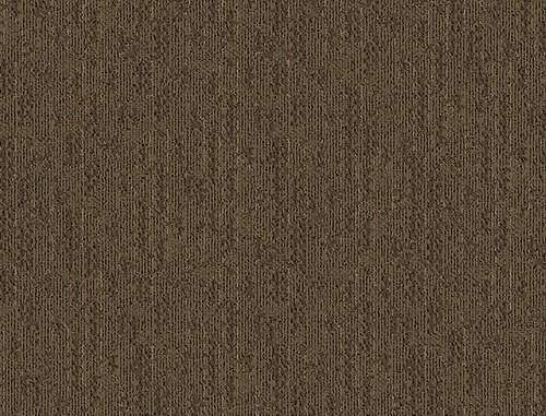 Arc Order in Congo - Carpet by Mohawk Flooring