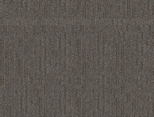 Arc Order in Castor - Carpet by Mohawk Flooring