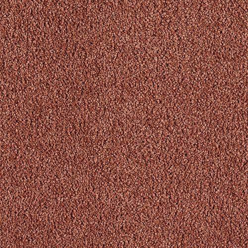 Cinnamon Luster