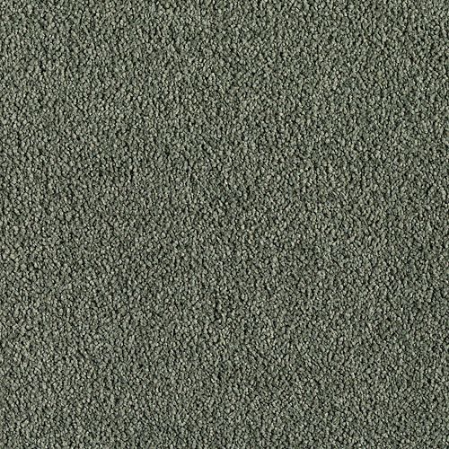 Moss Tint