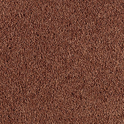 Polished Copper