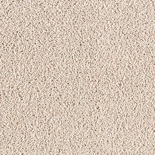 Blanched Almond