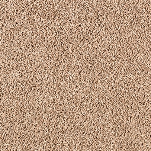 Pecan Shell