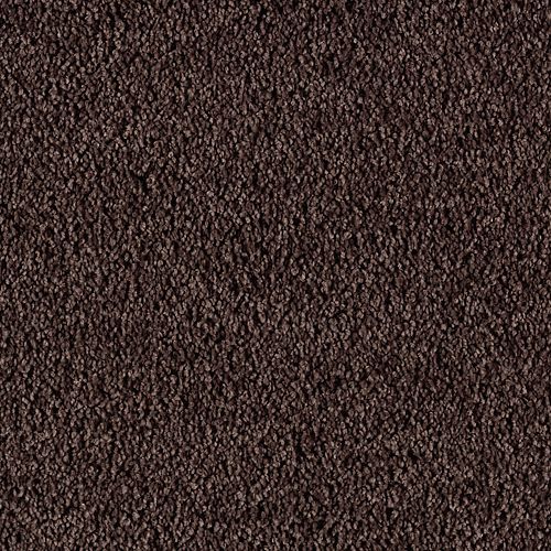 Excellent Selection by Mohawk Industries - Rustic Brown