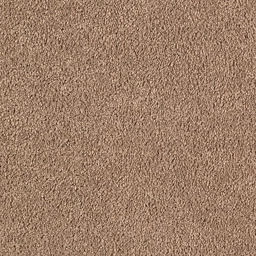 Tempting Taupe