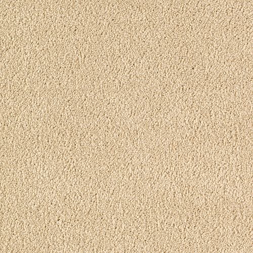 Desert Star