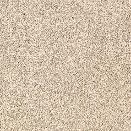 Coastal Beige