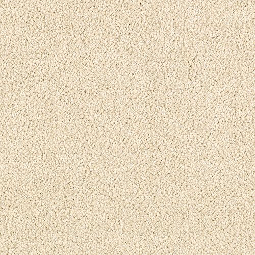 Elegantly Soft Sand Whisper 9731