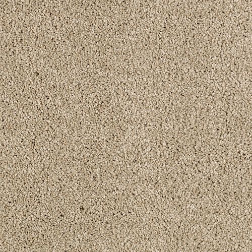 Delicate Finesse by Mohawk Industries - Sisal