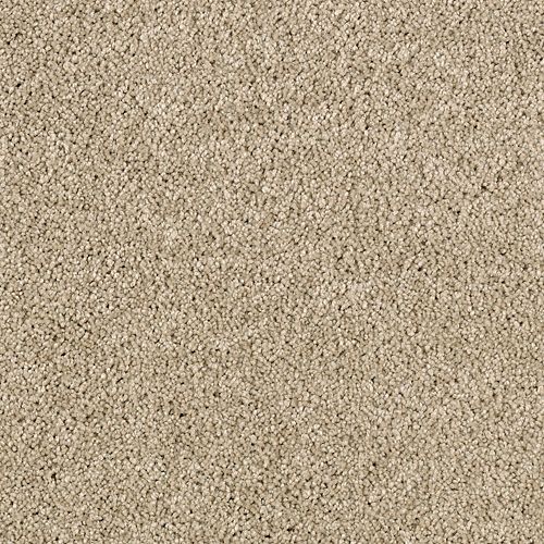 Luxurious Appeal by Karastan - Mesquite Chip