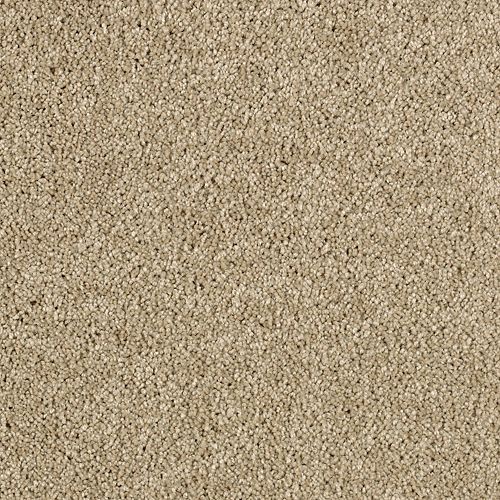 Delicate Finesse by Mohawk Industries - Brushed Suede