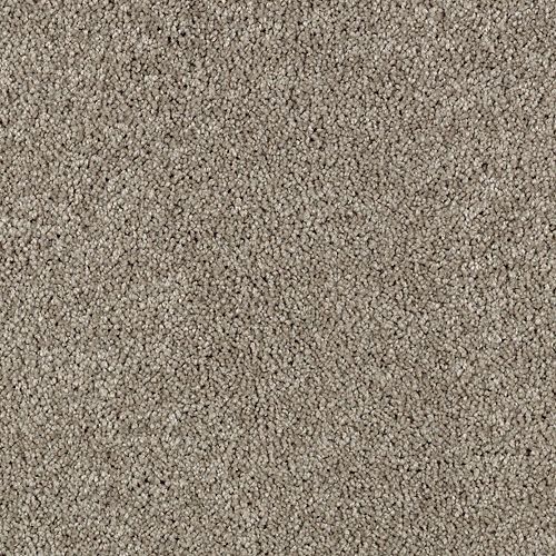 Delicate Finesse by Mohawk Industries - Plaza Taupe