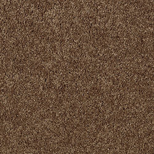 Authentic Heirloom by Mohawk Industries - Raw Sienna