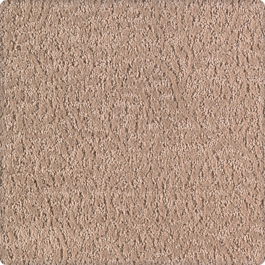 Mohawk Industries Reigning Beauty Safari Carpet Bellevue Auburn Lynnwood Wa Nielsen Bros Flooring