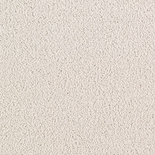 Designer White