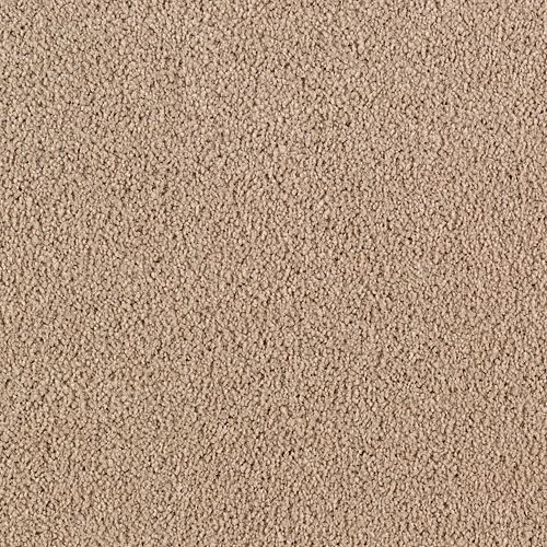 True Khaki